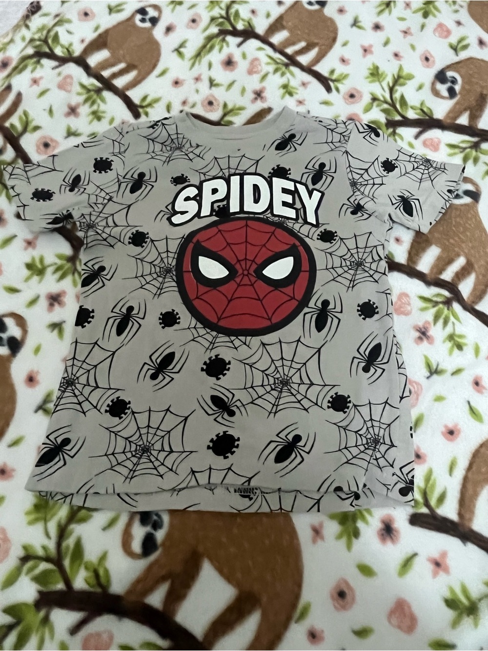 Kids Gray and Red Graphic Tee -5T